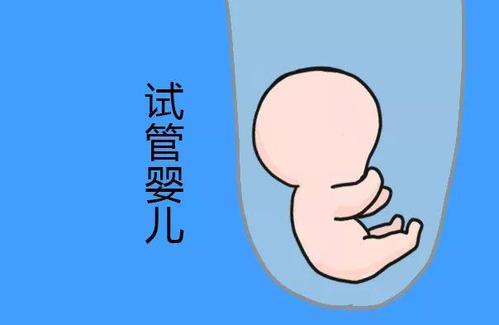 国内那里有借卵代孕